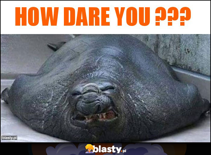 How dare you ??? How dare you ???