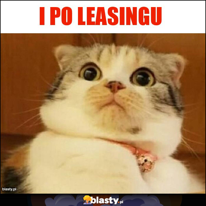I po leasingu I po leasingu