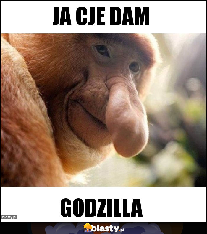 JA CJE DAM JA CJE DAM