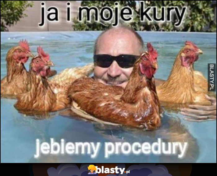 Ja i moje kury jedziemy procedury