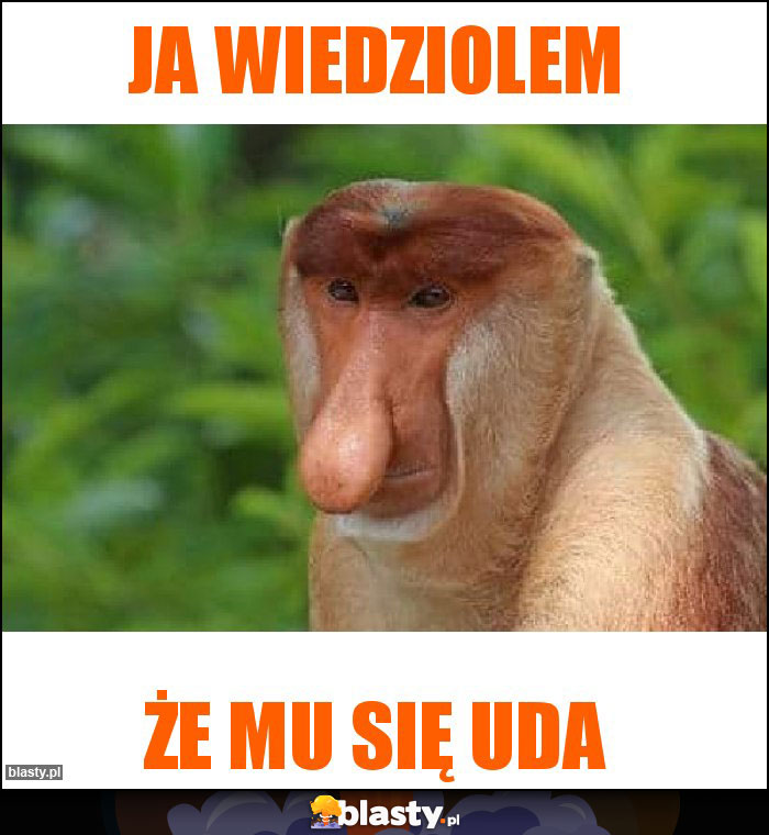 Ja wiedziolem Ja wiedziolem