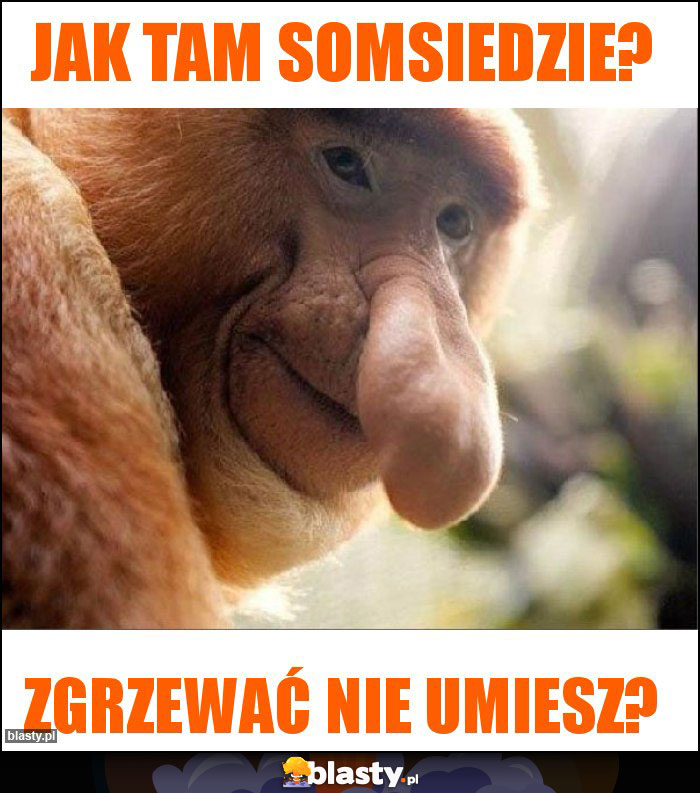 Jak tam somsiedzie? Jak tam somsiedzie?