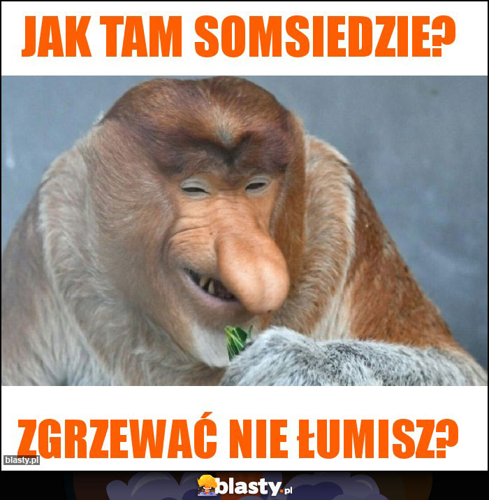Jak tam somsiedzie? Jak tam somsiedzie?