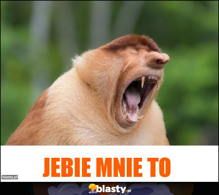 JEBIE MNIE TO JEBIE MNIE TO