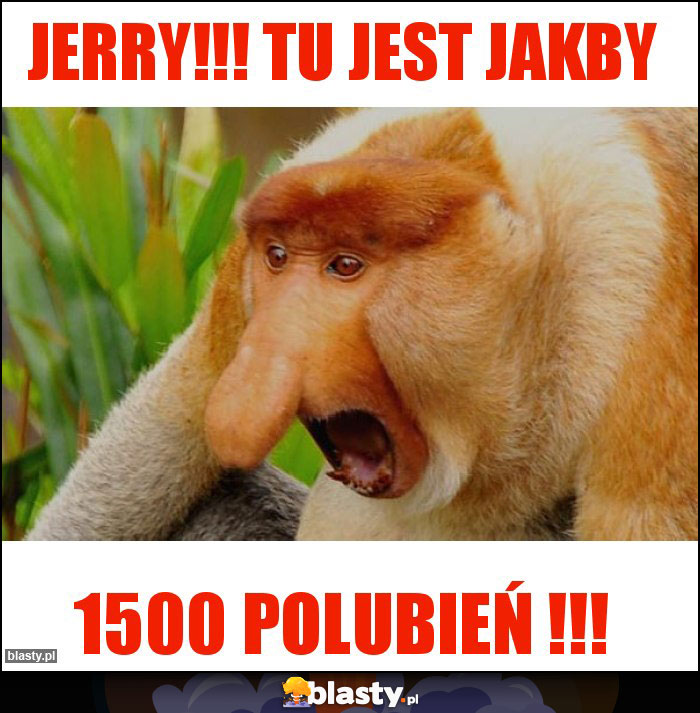 JERRY!!! TU JEST JAKBY JERRY!!! TU JEST JAKBY