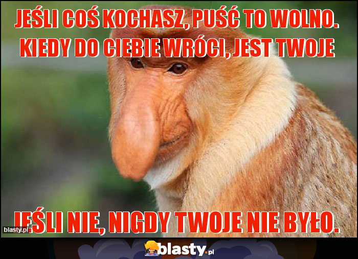 Jeśli coś kochasz, puść to wolno. Kiedy do Ciebie wróci, jest Twoje Jeśli coś kochasz, puść to wolno. Kiedy do Ciebie wróci, jest Twoje