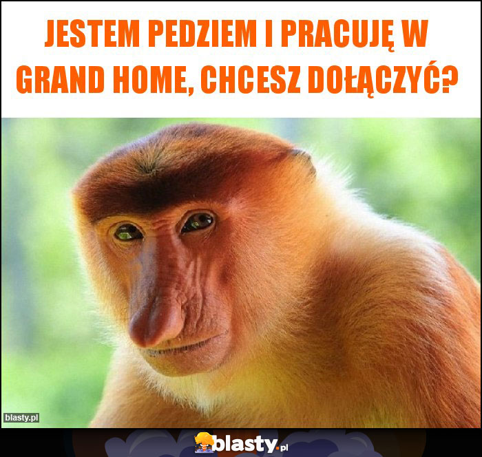 Jestem pedziem i pracuję w Grand Home, chcesz dołączyć?