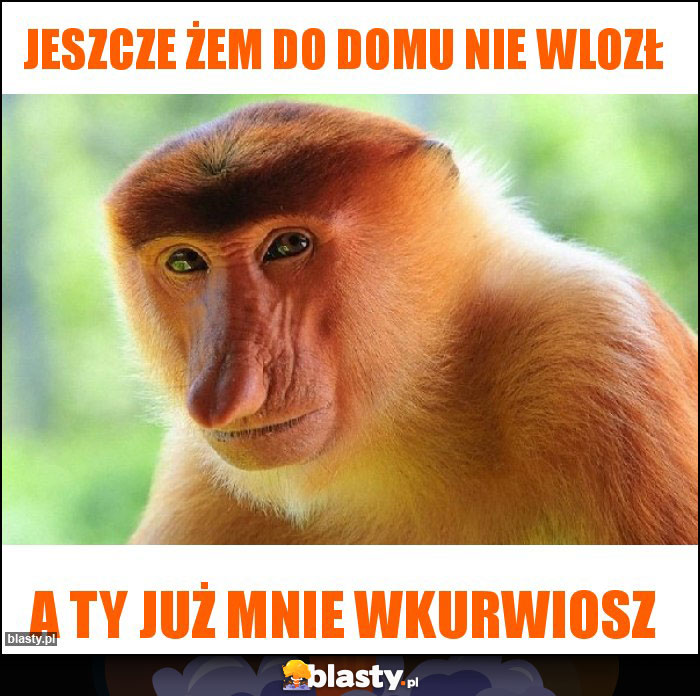 Jeszcze żem do domu nie wlozł Jeszcze żem do domu nie wlozł