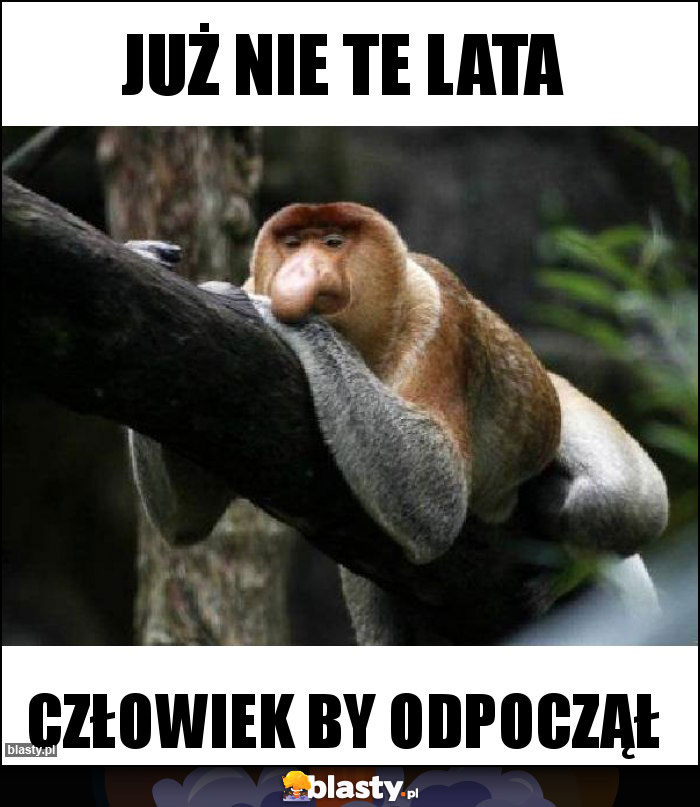 Już nie te lata Już nie te lata