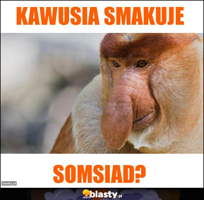 Kawusia smakuje Kawusia smakuje