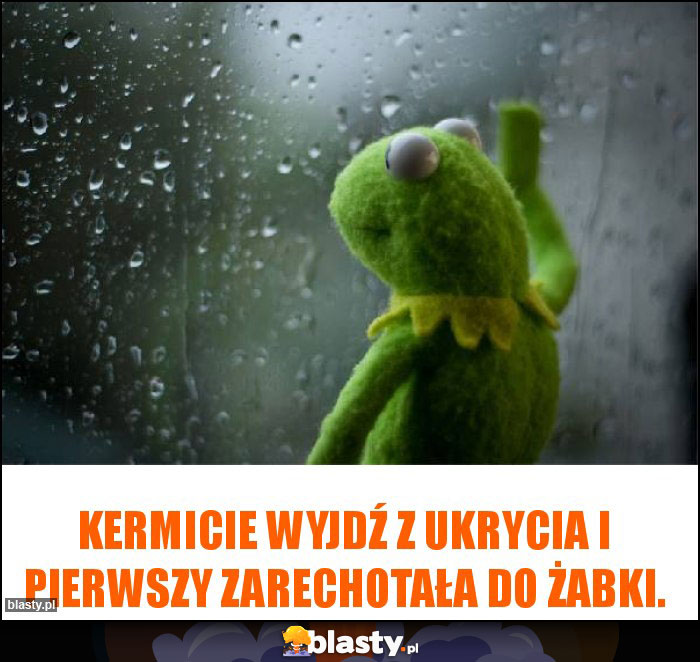 Kermicie wyjdź z ukrycia i pierwszy zarechotała do żabki. Kermicie wyjdź z ukrycia i pierwszy zarechotała do żabki.