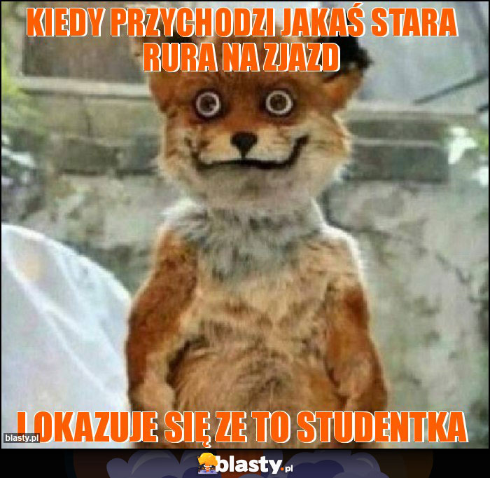 Kiedy przychodzi jakaś stara rura na zjazd Kiedy przychodzi jakaś stara rura na zjazd