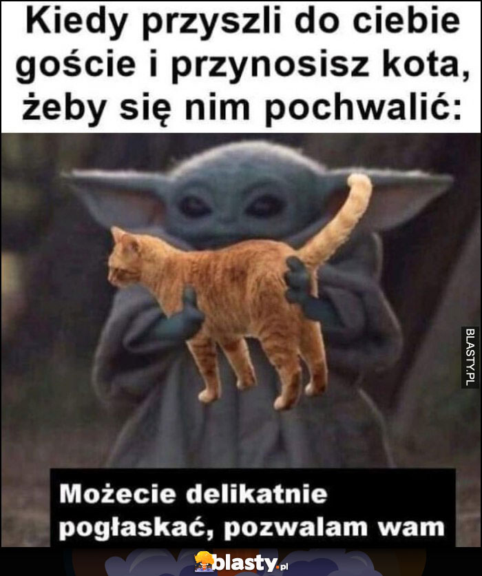 Kiedy przyszli do ciebie goście i przynosisz kota, żeby się nim pochwalić: możecie delikatnie pogłaskać, pozwalam wam baby Yoda