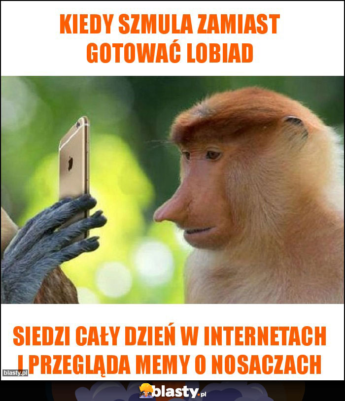 KIEDY SZMULA ZAMIAST GOTOWAĆ LOBIAD