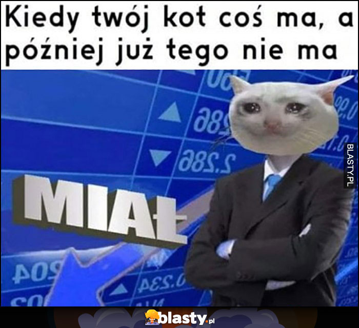 Kiedy twój kot coś ma, a później już tego nie miał