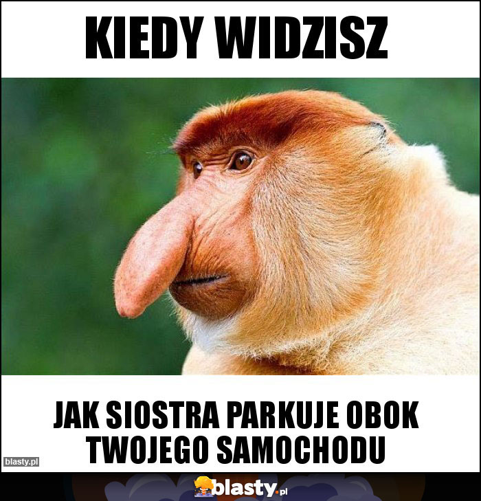 KIEDY WIDZISZ KIEDY WIDZISZ