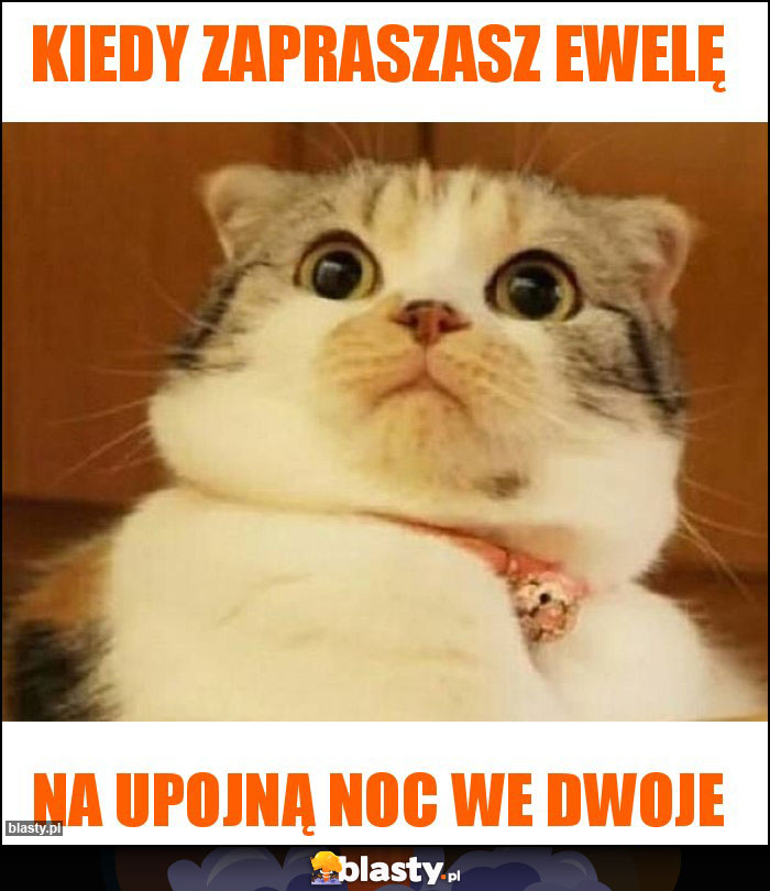 Kiedy zapraszasz Ewelę Kiedy zapraszasz Ewelę