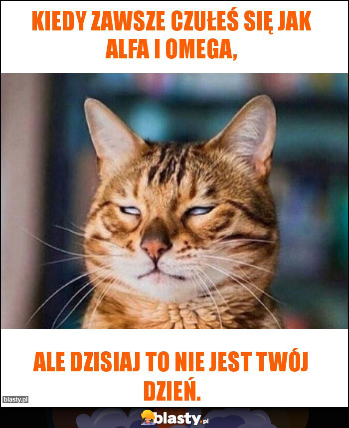 Kiedy zawsze czułeś się jak alfa i omega, Kiedy zawsze czułeś się jak alfa i omega,