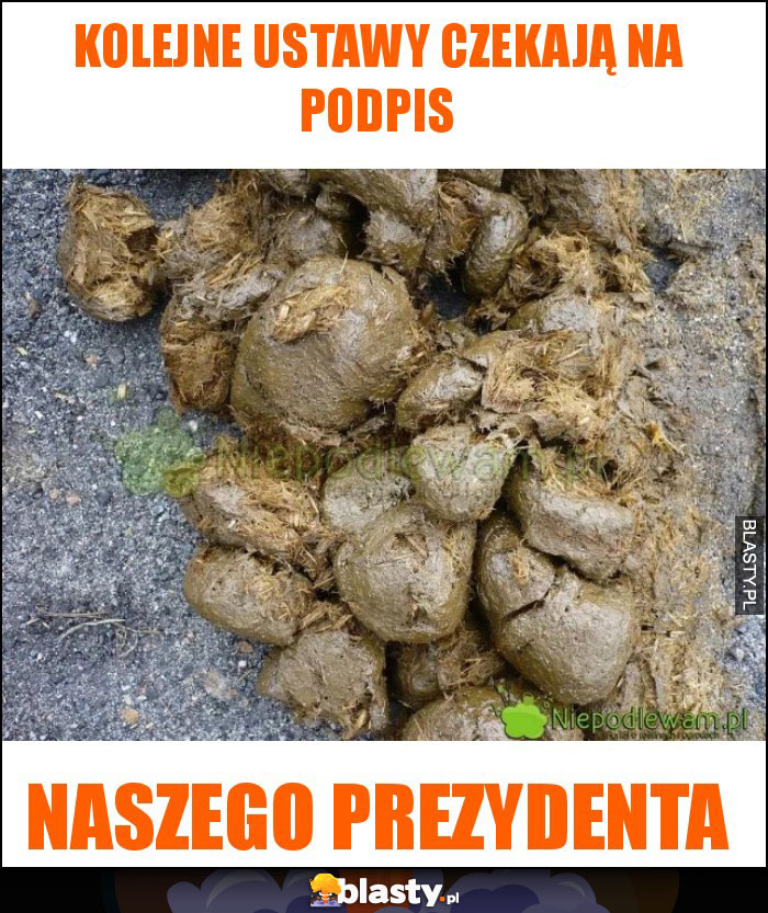 Kolejne ustawy czekają na podpis Kolejne ustawy czekają na podpis