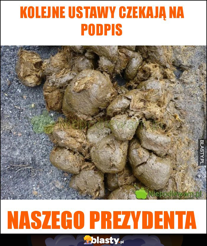 Kolejne ustawy czekają na podpis