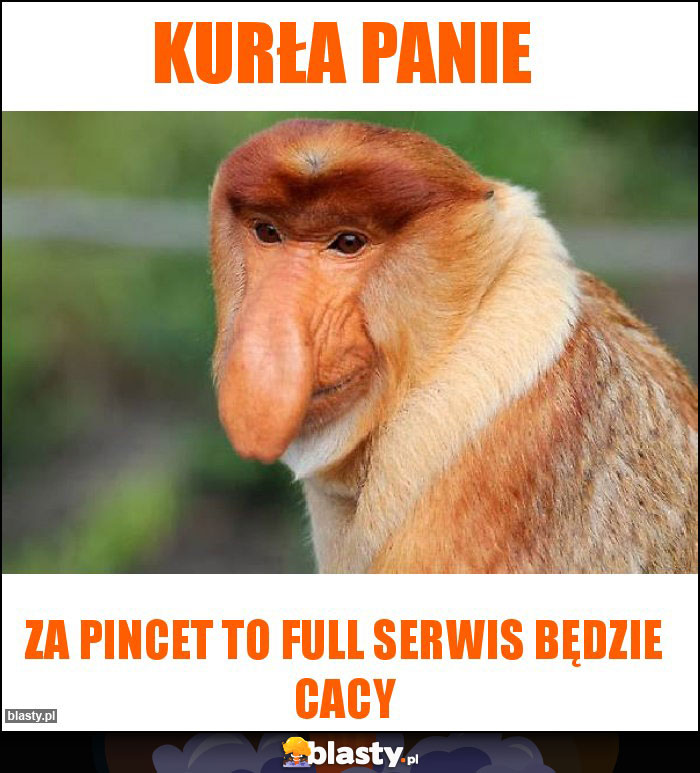 Kurła panie Kurła panie