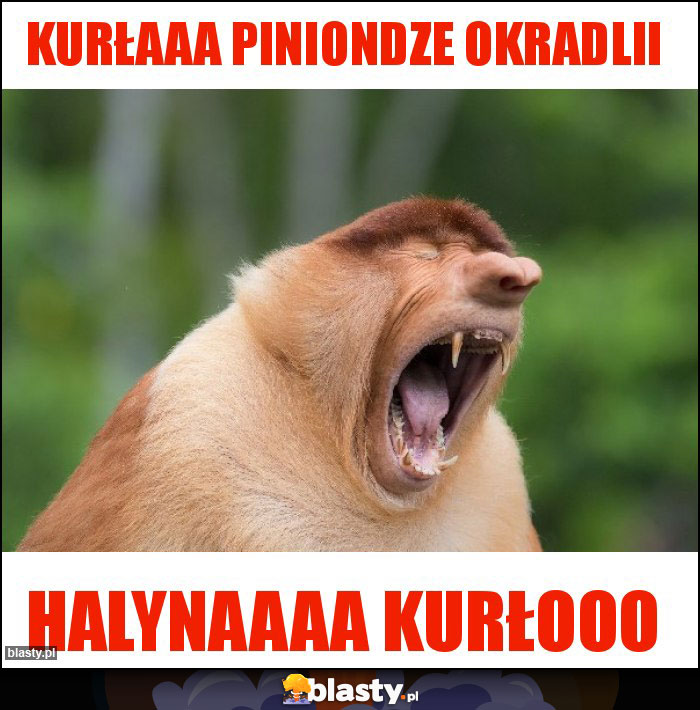 Kurłaaa piniondze okradlii Kurłaaa piniondze okradlii
