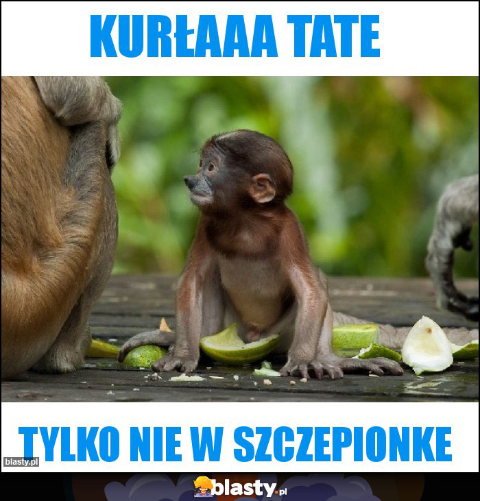 kurłaaa tate kurłaaa tate