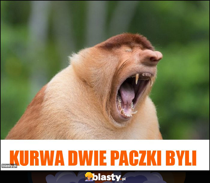 KURWA DWIE PACZKI BYLI KURWA DWIE PACZKI BYLI