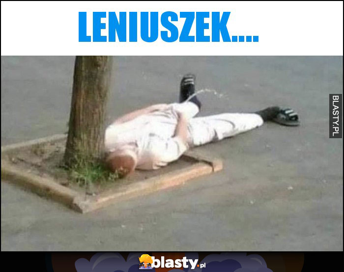 Leniuszek.... Leniuszek....