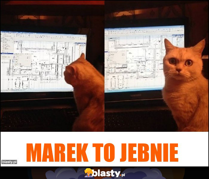 Marek to jebnie Marek to jebnie
