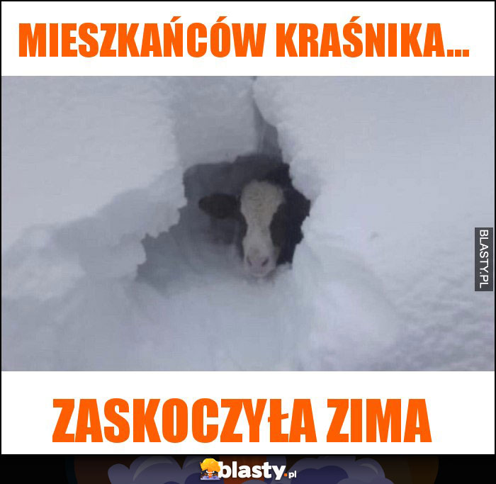 Mieszkańców kraśnika... Mieszkańców kraśnika...