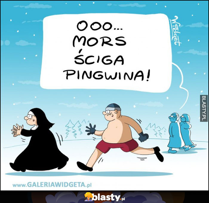 Mors i pingwin Mors i pingwin
