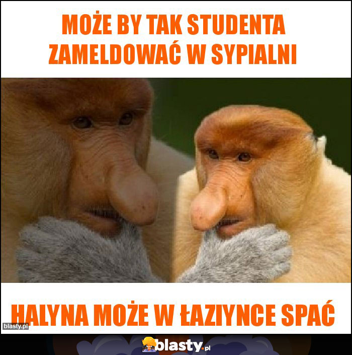 Może by tak studenta zameldować w sypialni Może by tak studenta zameldować w sypialni
