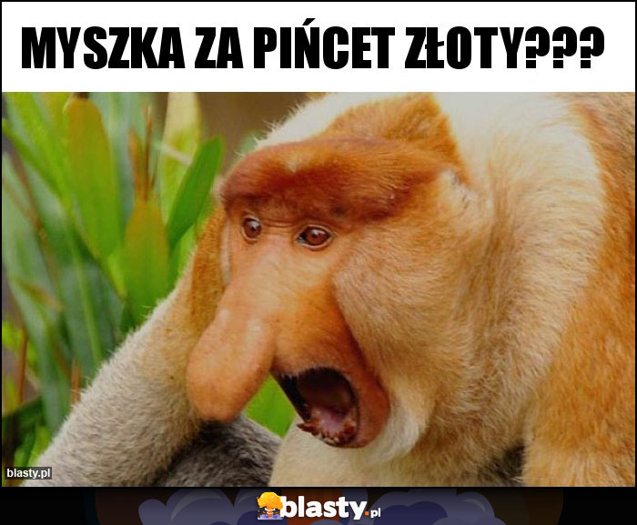 MYSZKA ZA PIŃCET ZŁOTY??? MYSZKA ZA PIŃCET ZŁOTY???