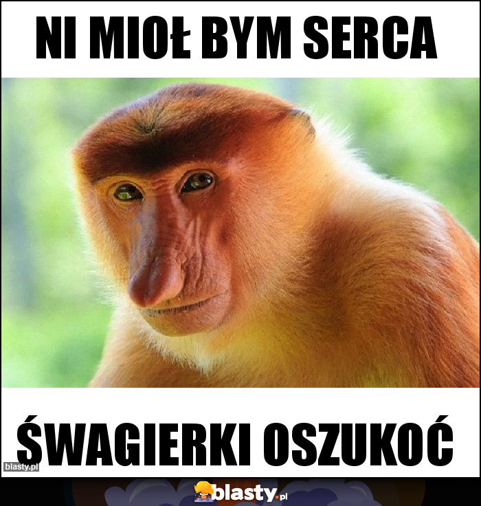 Ni mioł bym serca Ni mioł bym serca