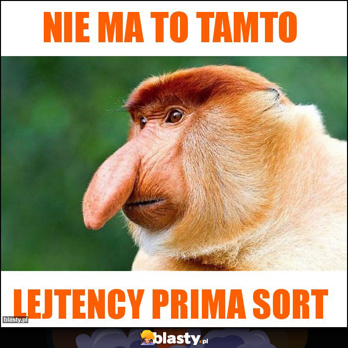 nie ma to tamto nie ma to tamto