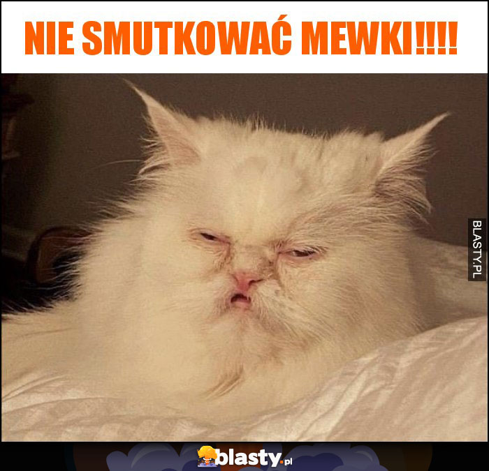 Nie smutkować Mewki!!!! Nie smutkować Mewki!!!!