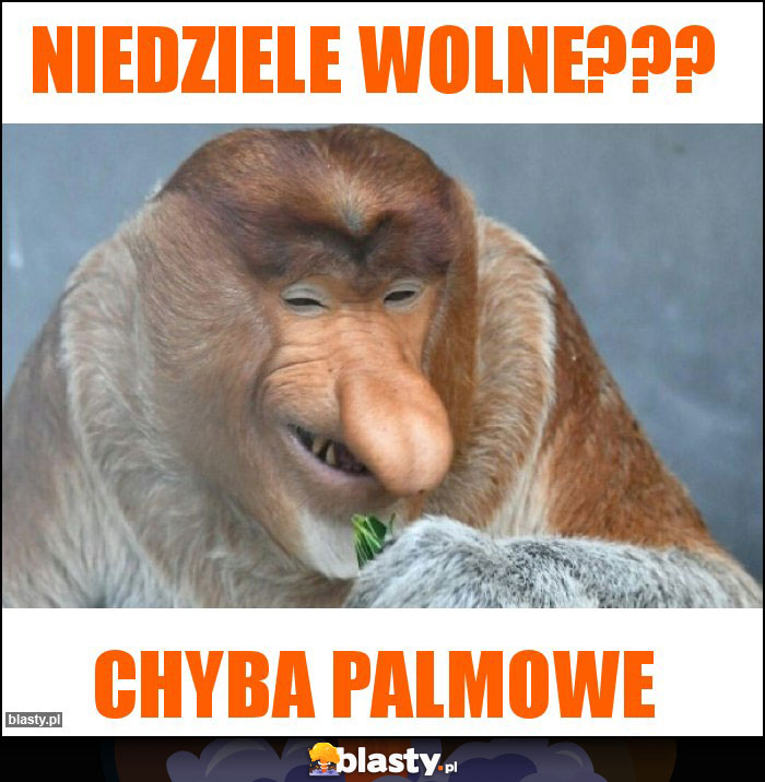 Niedziele wolne??? Niedziele wolne???