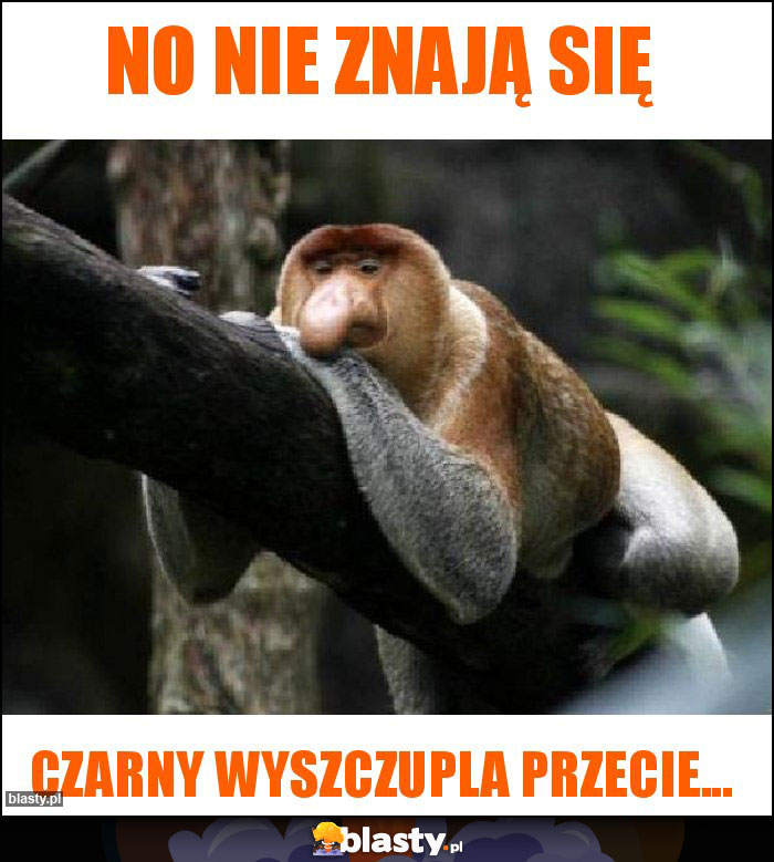 No nie znają się No nie znają się