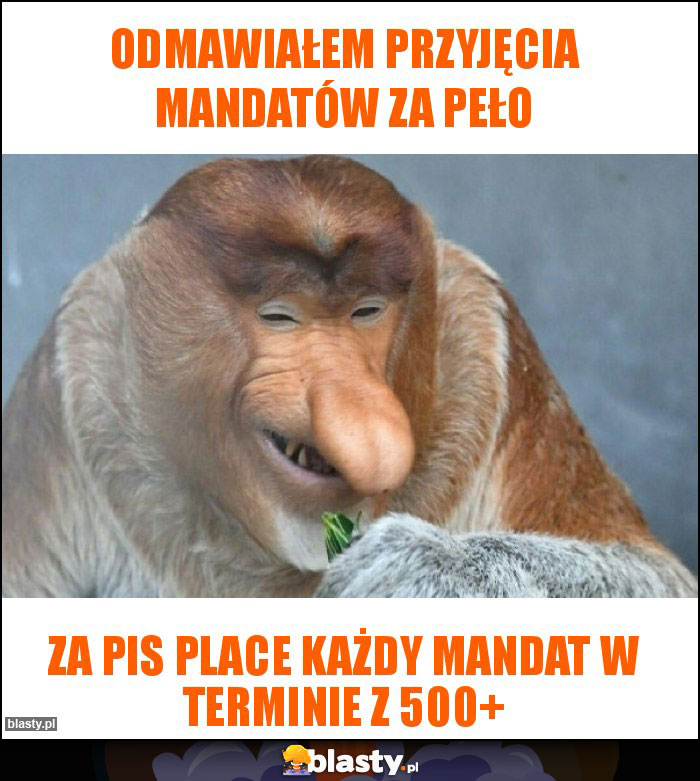 Odmawiałem przyjęcia mandatów za PeŁO Odmawiałem przyjęcia mandatów za PeŁO