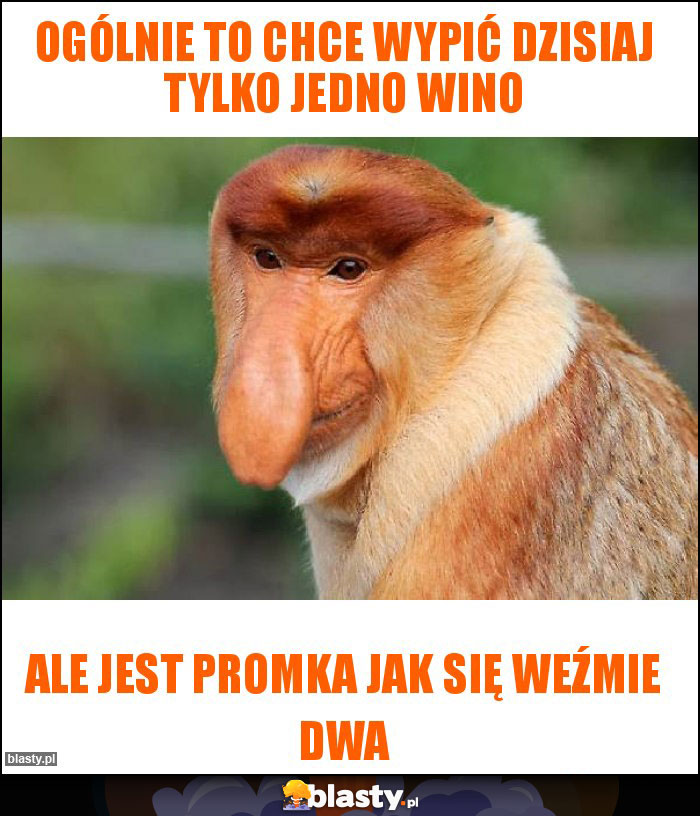 Ogólnie to chce wypić dzisiaj tylko jedno wino Ogólnie to chce wypić dzisiaj tylko jedno wino