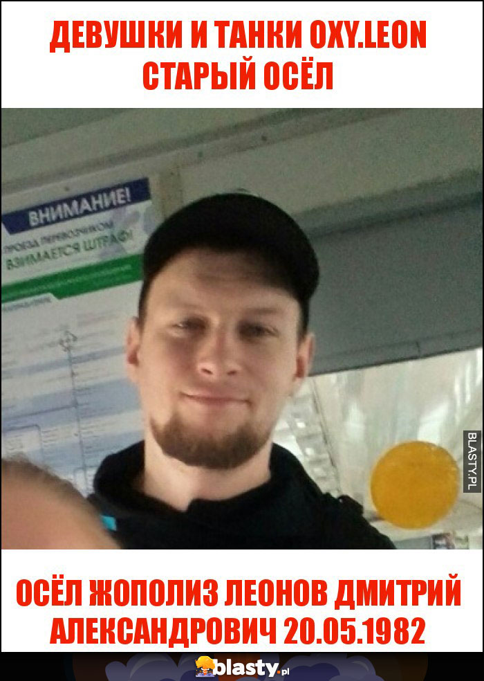 ДЕВУШКИ И ТАНКИ oxy.leon старый осёл ДЕВУШКИ И ТАНКИ oxy.leon старый осёл