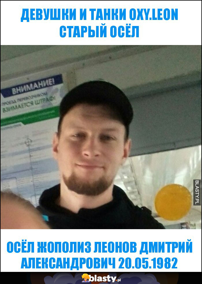 ДЕВУШКИ И ТАНКИ oxy.leon старый осёл ДЕВУШКИ И ТАНКИ oxy.leon старый осёл