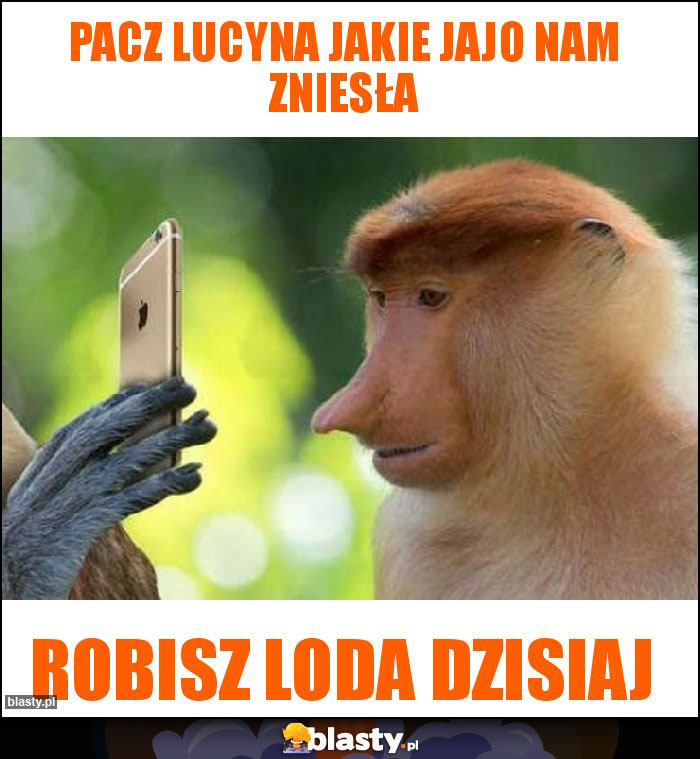 Pacz Lucyna jakie jajo nam zniesła Pacz Lucyna jakie jajo nam zniesła