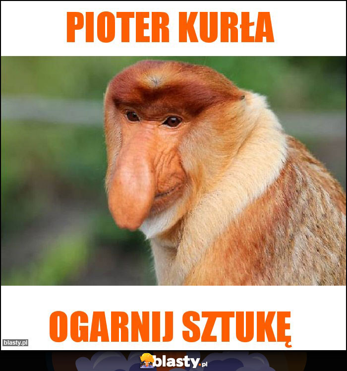 Pioter kurła