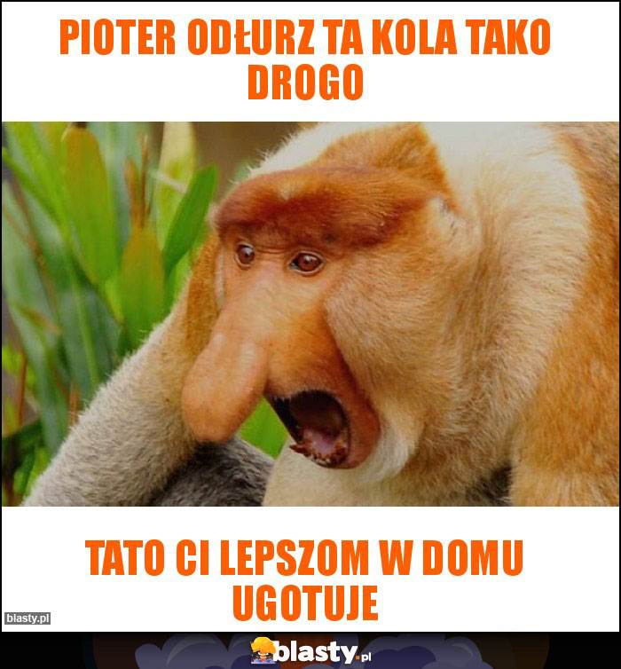 Pioter odłurz ta kola tako drogo Pioter odłurz ta kola tako drogo