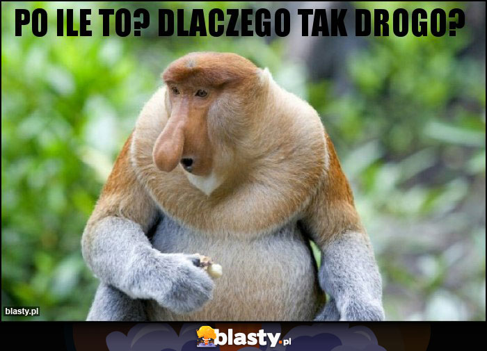 PO ILE TO? DLACZEGO TAK DROGO? PO ILE TO? DLACZEGO TAK DROGO?