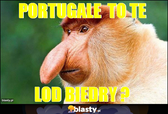 PORTUGALE TO TE PORTUGALE TO TE