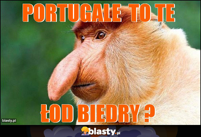 PORTUGALE TO TE PORTUGALE TO TE