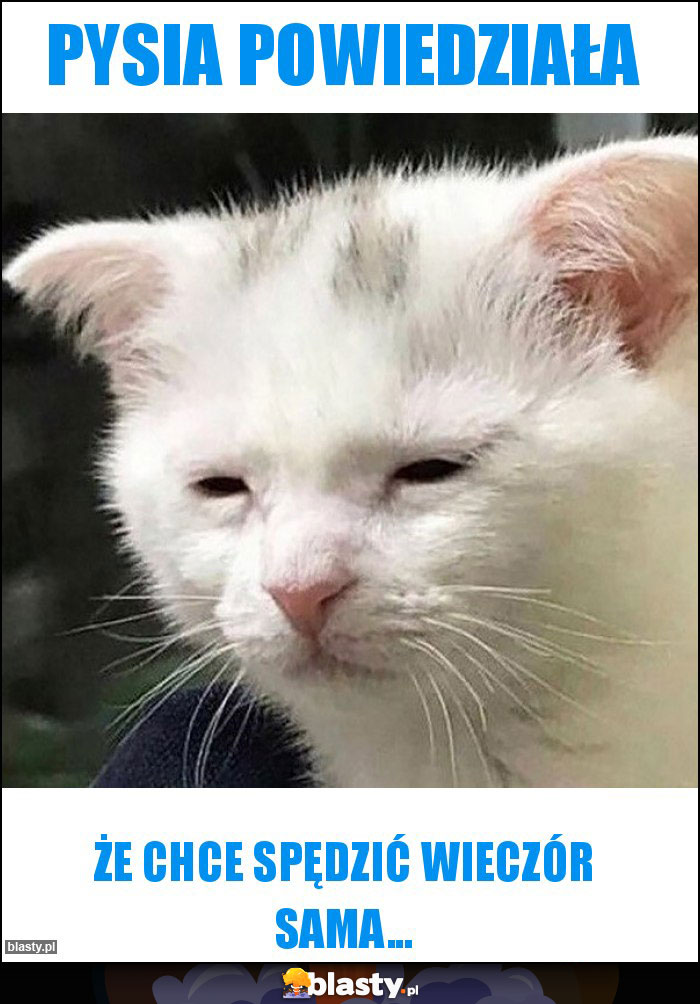 Pysia powiedziała Pysia powiedziała